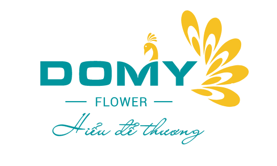 Domy Flower Store