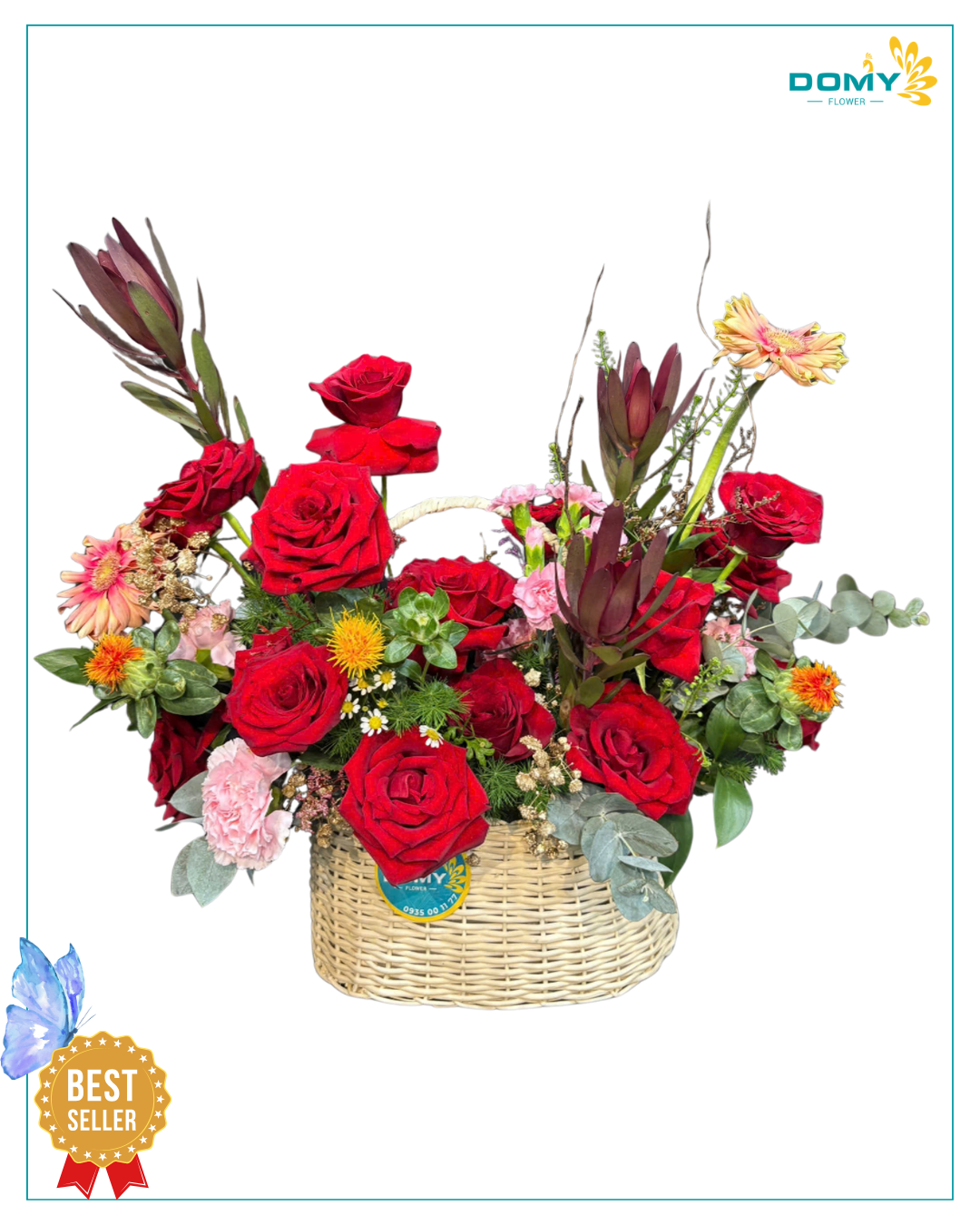 GIỎ HOA HỒNG ĐỎ ECUADOR MIX HOA TULIP NAM PHI