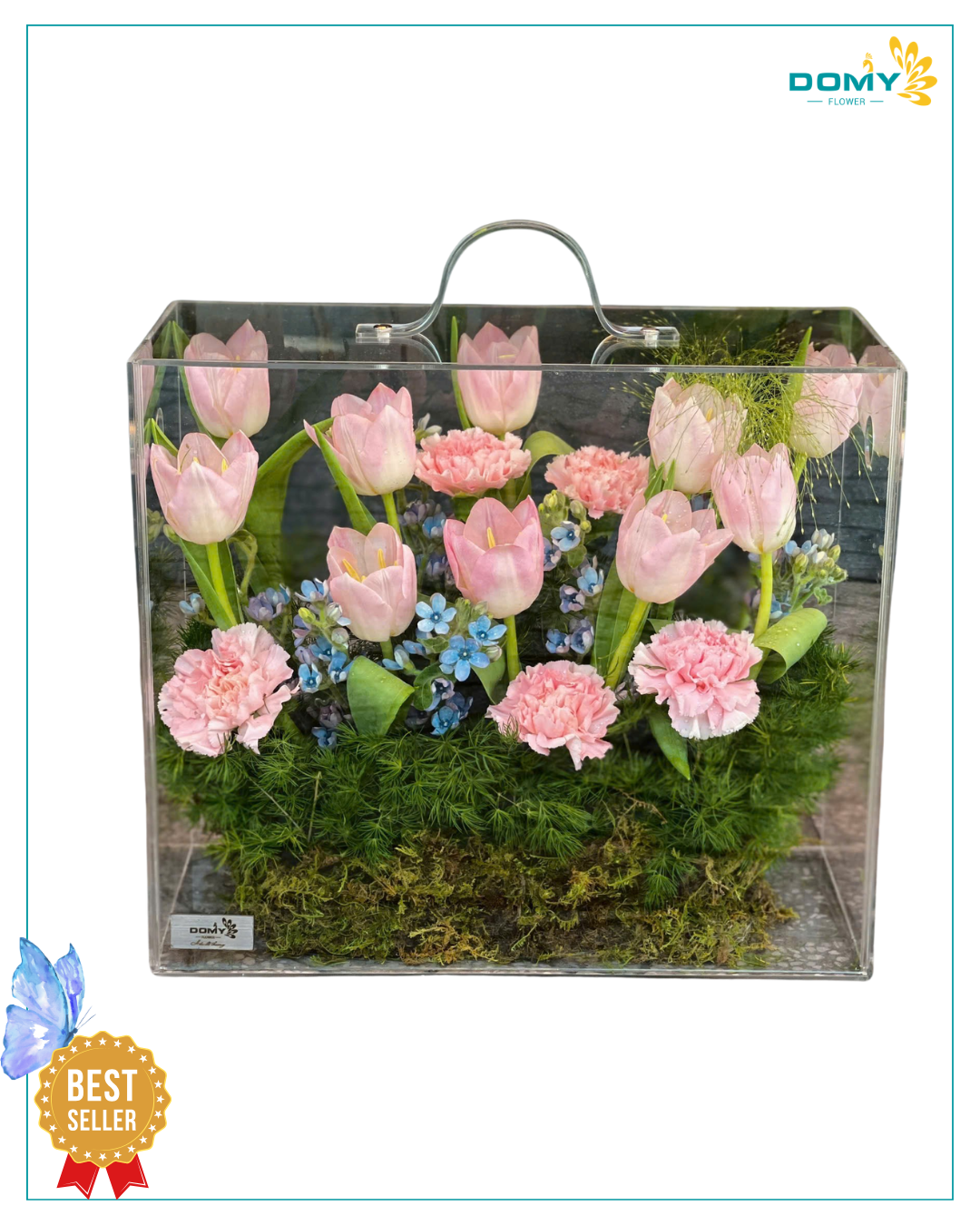 HỘP MICA TULIP MIX PHĂNG HỒNG