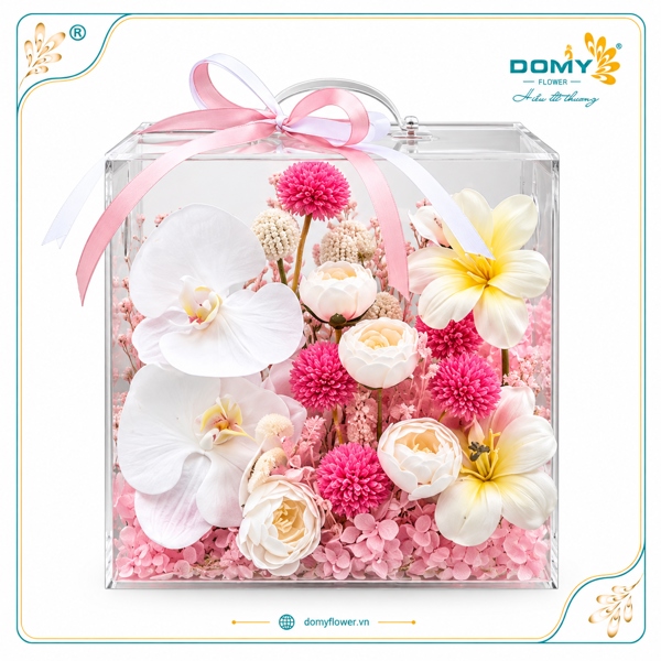 HỘP HOA LAN MIX TULIP NHẸ NHÀNG, TINH TẾ